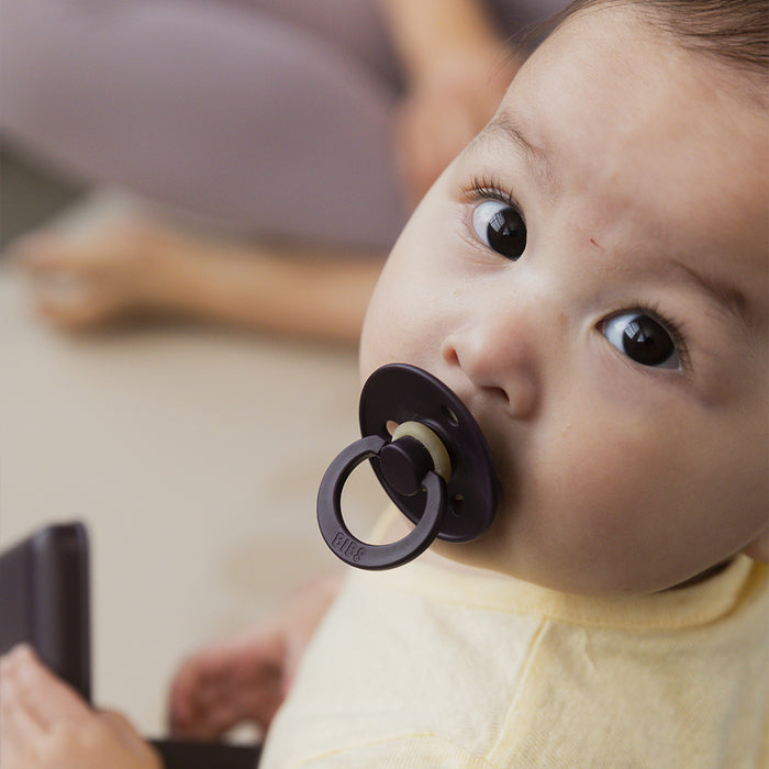 Colour Pacifier - Plum - Bibsworld store US